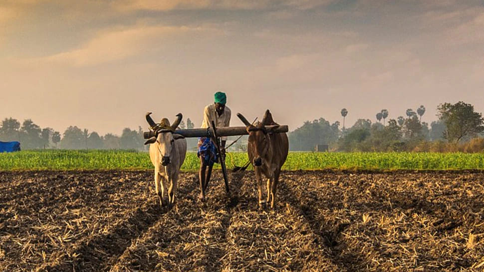 The Agricultural Reforms in India includes, the contract farming, modernization to enhance productivity, market access etc.