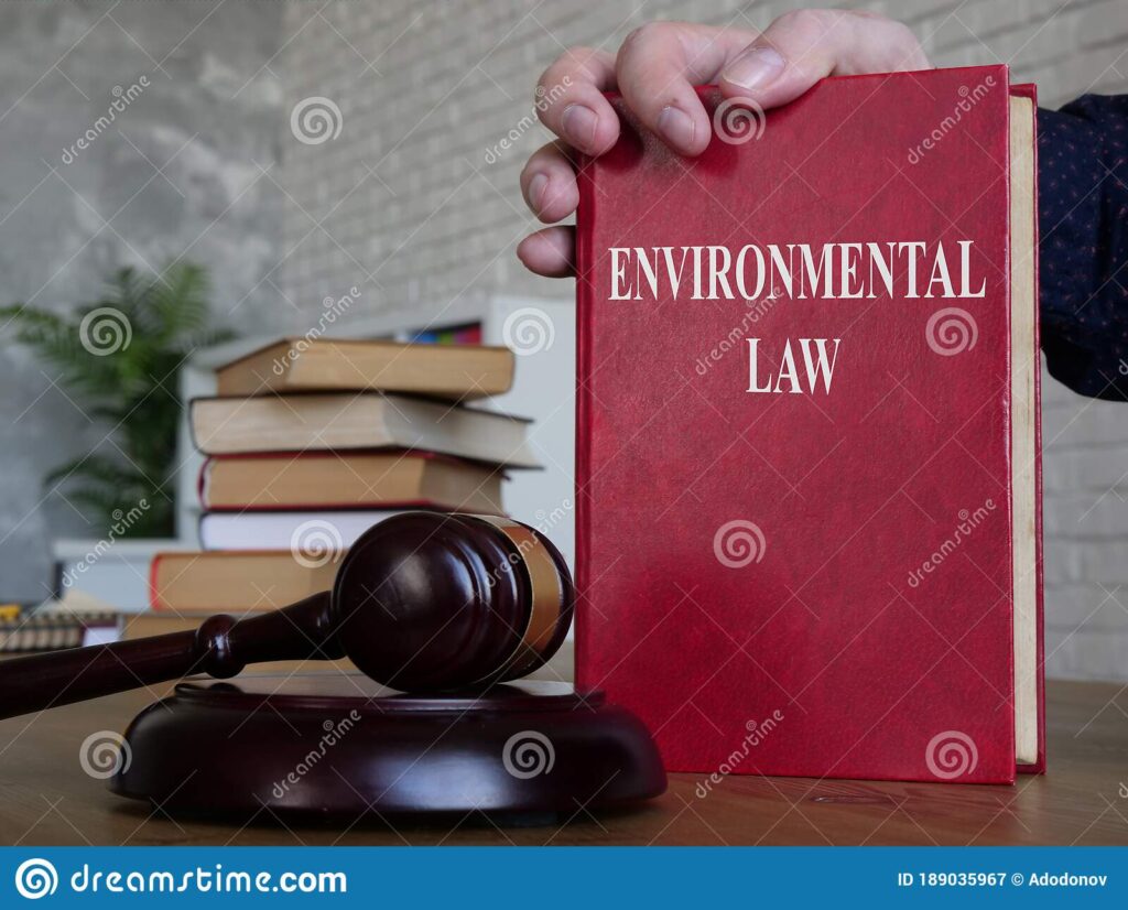 The essential principles of environmental law include sustainable development, precautionary principle, polluter, equity.