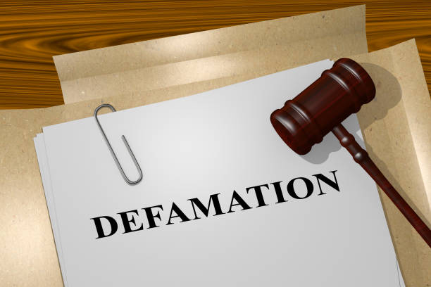 Defamation laws aim to protect an individual's reputation from false or malicious statements that can cause harm
